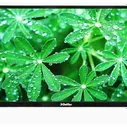 Телевизор DOFFLER 24KH29 (DVB-T2)